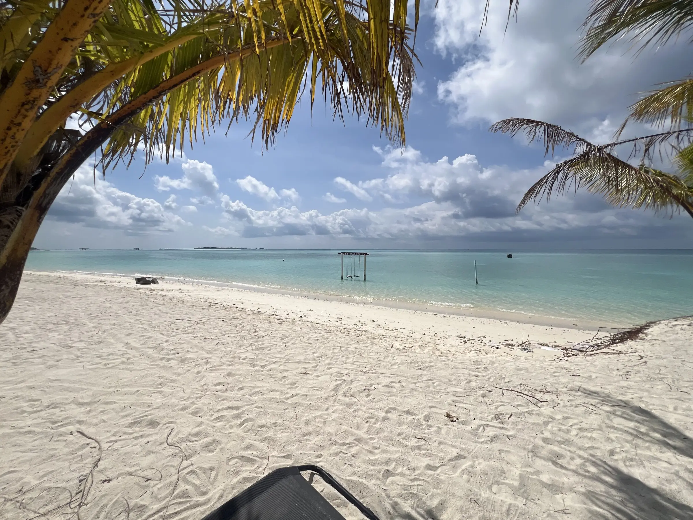 View through palm trees to Maamigili's turquoise lagoon
