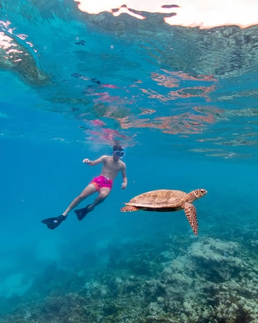 Snorkeller swimming beside a green sea turtle over the reef in South Ari Atoll