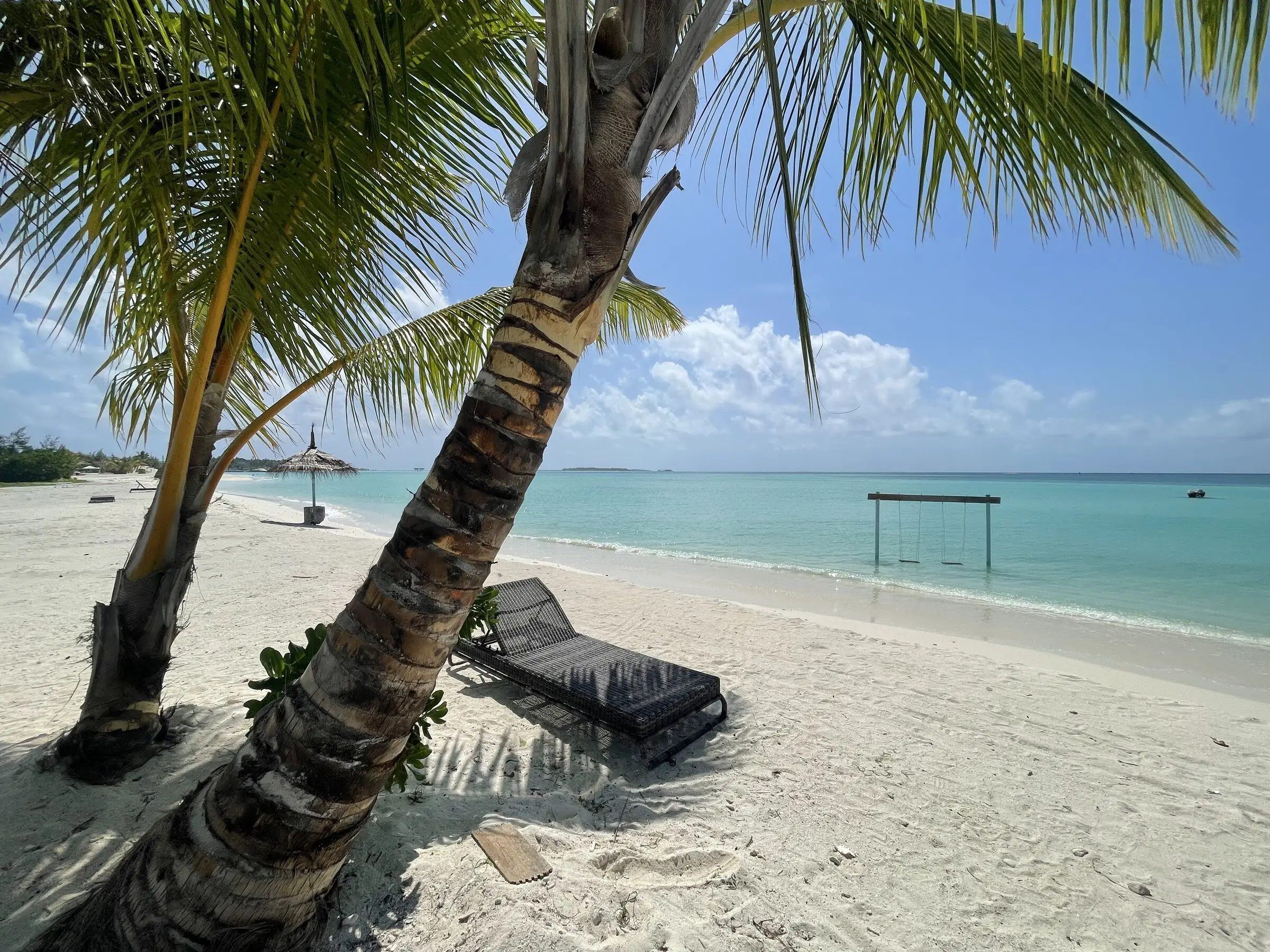 Beach swing among palms beside Maamigili's lagoon