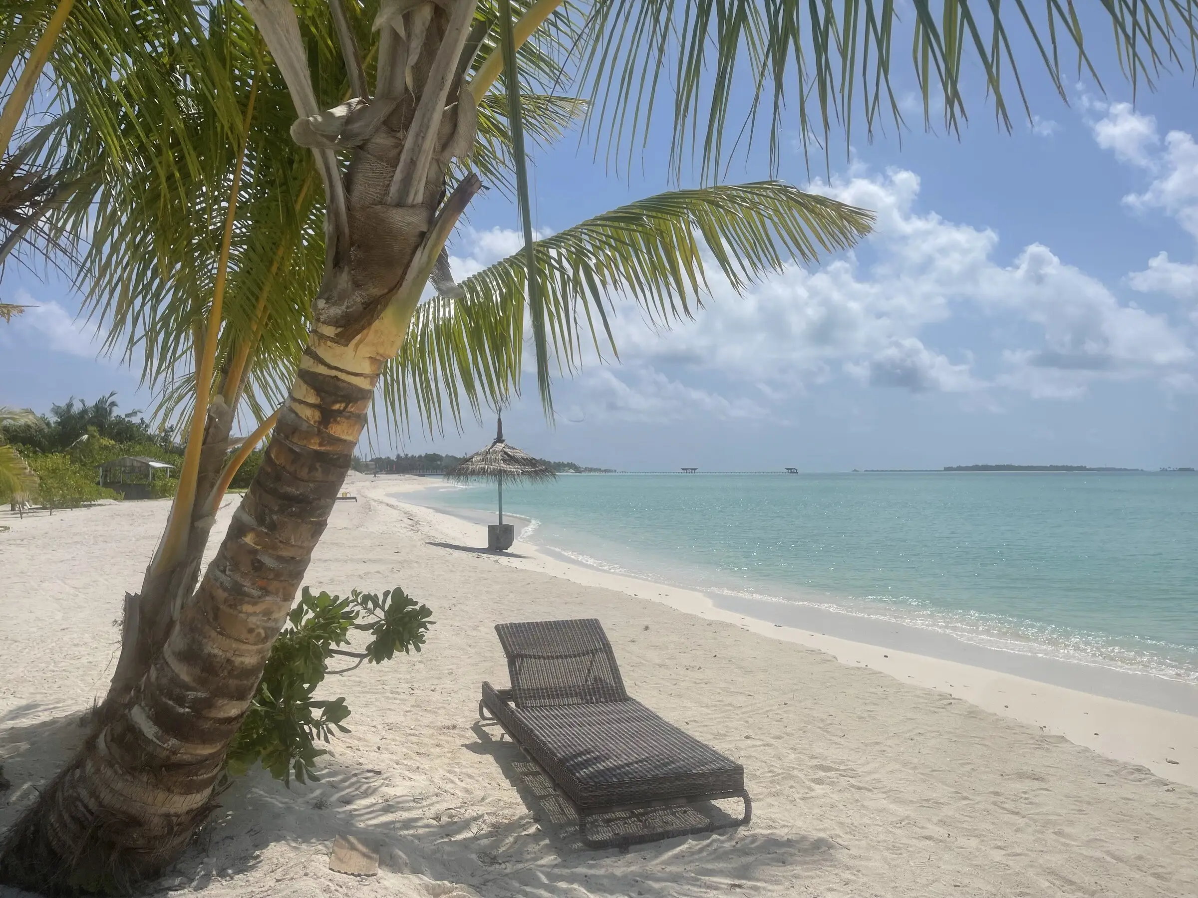 Lounge chair under palms on Maamigili's white-sand beach