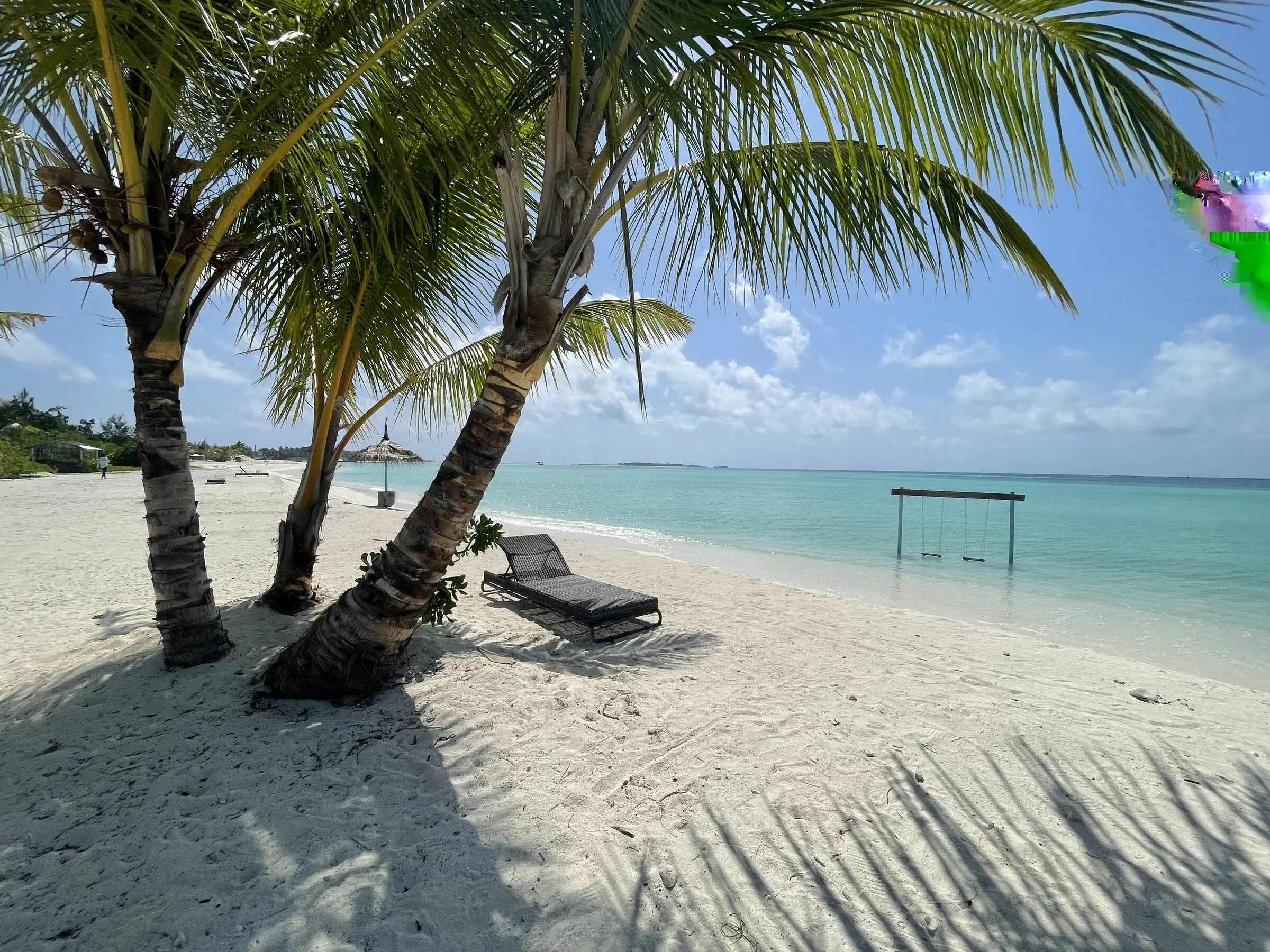 Palms and a beach swing over Maamigili's turquoise water