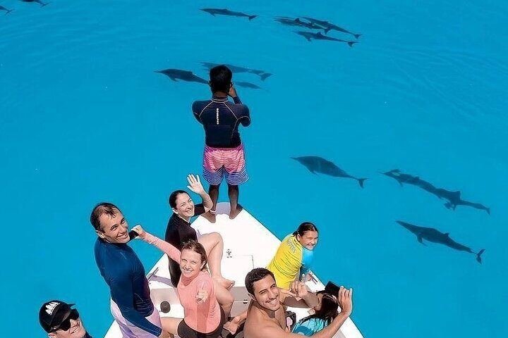 Guests watching dolphins from a boat in South Ari Atoll