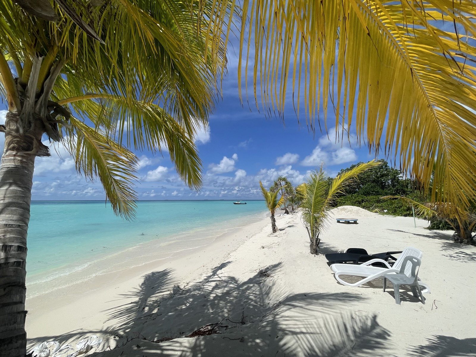 Palm-fringed white-sand beach over the turquoise lagoon at Koimala Maamigili